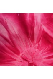 ΠΑΡΕΟ SINARAN ΙΝΔ/ΣΙΑΣ